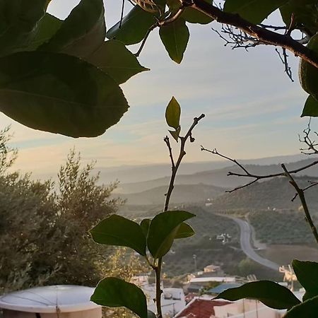 Mirador Del Olivar Olvera Εξωτερικό φωτογραφία