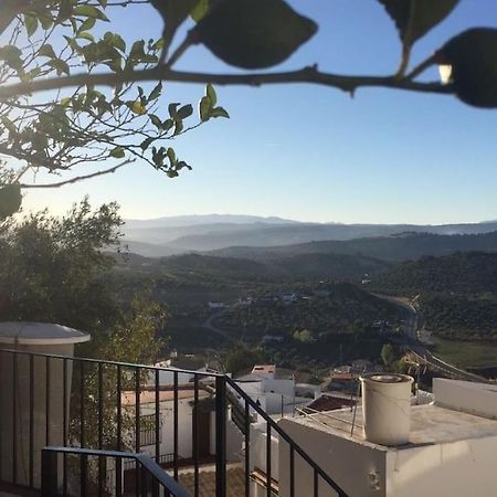 Mirador Del Olivar Olvera Εξωτερικό φωτογραφία