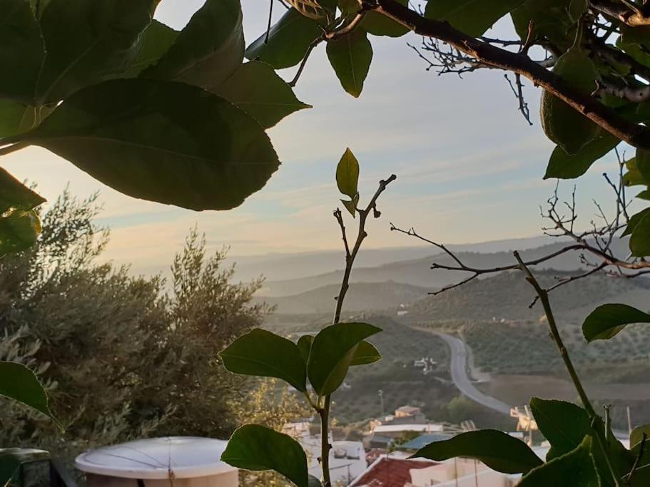 Mirador Del Olivar Olvera Εξωτερικό φωτογραφία