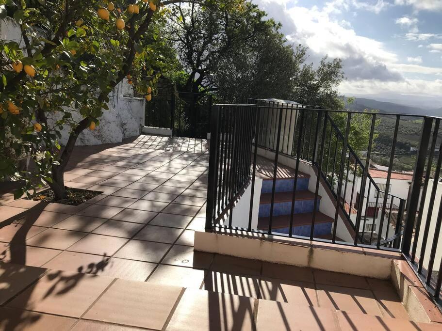 Mirador Del Olivar Olvera Εξωτερικό φωτογραφία