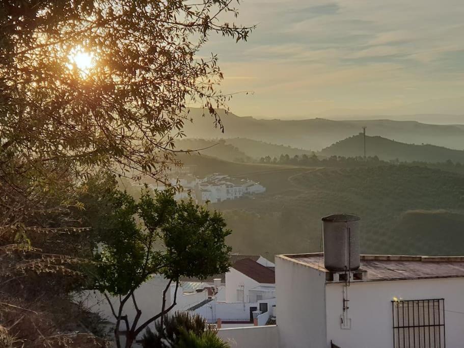 Mirador Del Olivar Olvera Εξωτερικό φωτογραφία